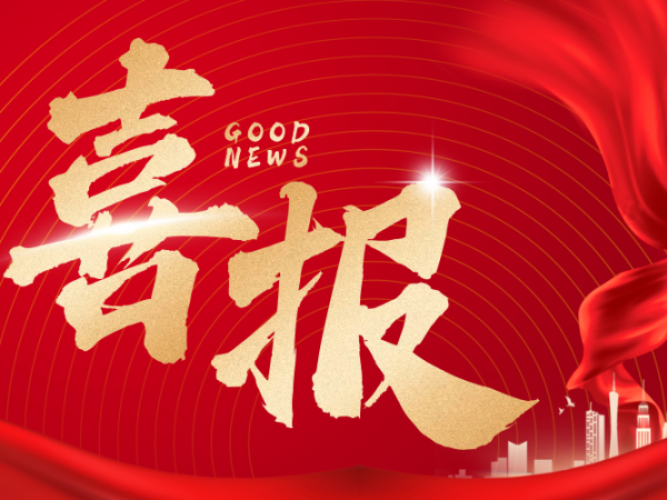 第33！第9！五星！兆弟控股榮膺2025中國建材行業(yè)3項權(quán)威殊榮